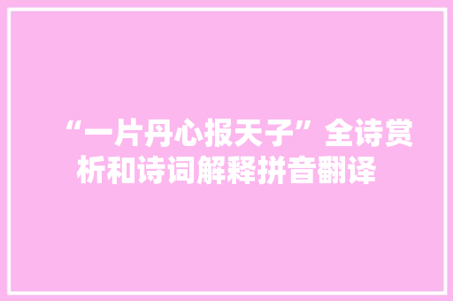 “一片丹心报天子”全诗赏析和诗词解释拼音翻译