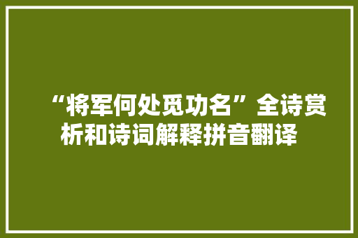 “将军何处觅功名”全诗赏析和诗词解释拼音翻译