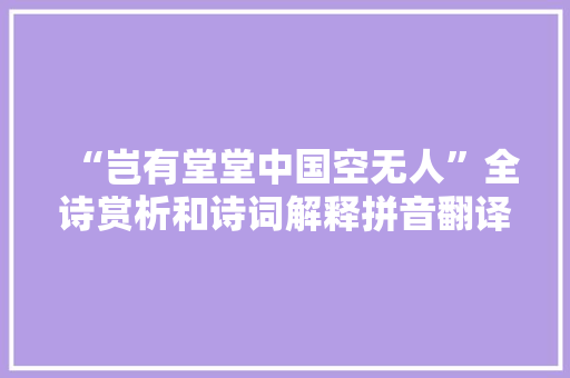“岂有堂堂中国空无人”全诗赏析和诗词解释拼音翻译