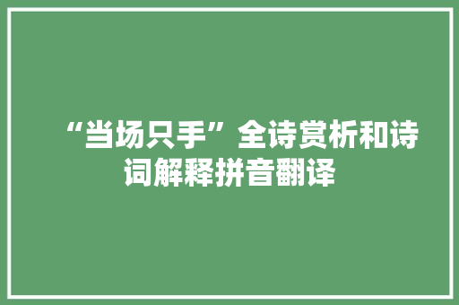 “当场只手”全诗赏析和诗词解释拼音翻译