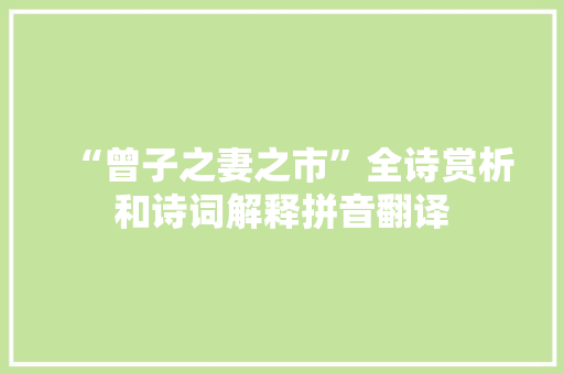 “曾子之妻之市”全诗赏析和诗词解释拼音翻译