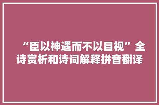 “臣以神遇而不以目视”全诗赏析和诗词解释拼音翻译