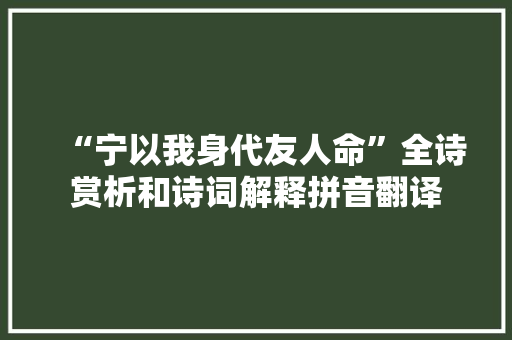 “宁以我身代友人命”全诗赏析和诗词解释拼音翻译