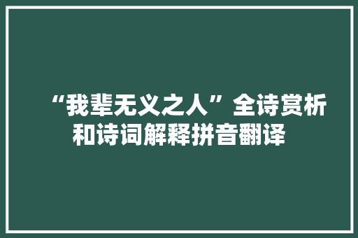 “我辈无义之人”全诗赏析和诗词解释拼音翻译
