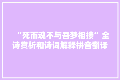 “死而魂不与吾梦相接”全诗赏析和诗词解释拼音翻译