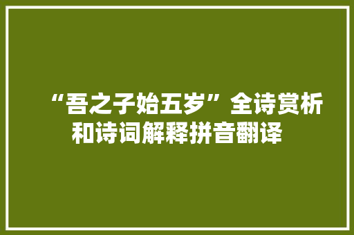 “吾之子始五岁”全诗赏析和诗词解释拼音翻译