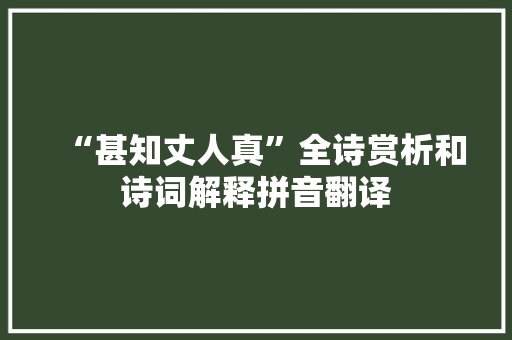 “甚知丈人真”全诗赏析和诗词解释拼音翻译
