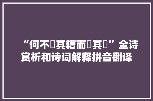 “何不餔其糟而歠其醨”全诗赏析和诗词解释拼音翻译