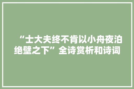 “士大夫终不肯以小舟夜泊绝壁之下”全诗赏析和诗词解释拼音翻译