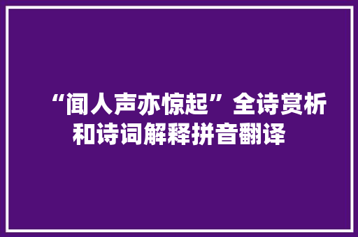“闻人声亦惊起”全诗赏析和诗词解释拼音翻译