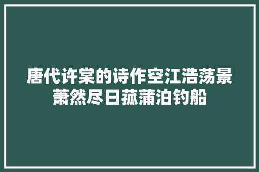 唐代许棠的诗作空江浩荡景萧然尽日菰蒲泊钓船