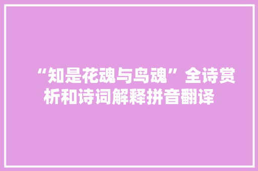 “知是花魂与鸟魂”全诗赏析和诗词解释拼音翻译