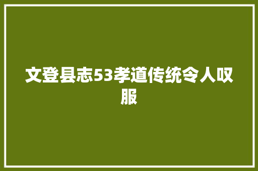 文登县志53孝道传统令人叹服