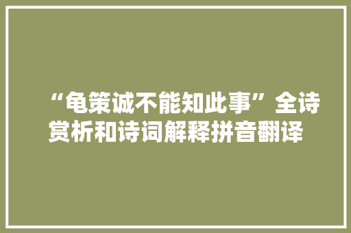 “龟策诚不能知此事”全诗赏析和诗词解释拼音翻译