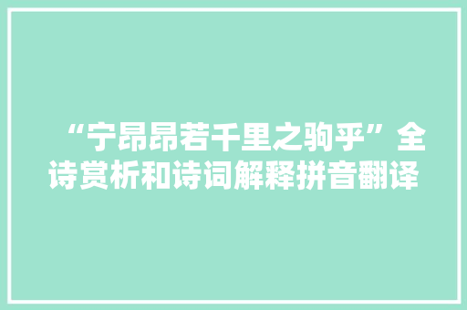 “宁昂昂若千里之驹乎”全诗赏析和诗词解释拼音翻译