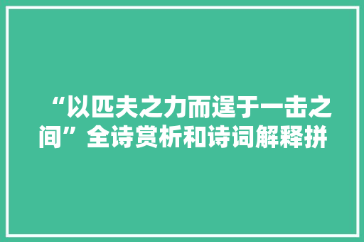 “以匹夫之力而逞于一击之间”全诗赏析和诗词解释拼音翻译