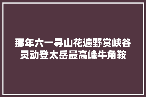 那年六一寻山花遍野赏峡谷灵动登太岳最高峰牛角鞍