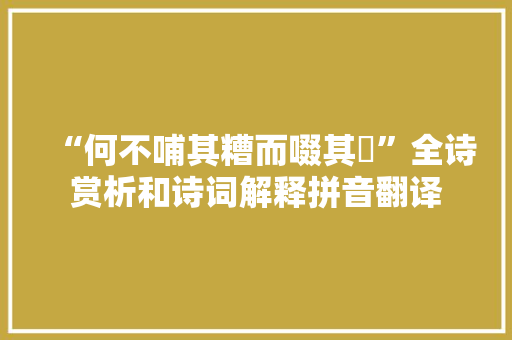 “何不哺其糟而啜其醨”全诗赏析和诗词解释拼音翻译
