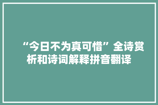 “今日不为真可惜”全诗赏析和诗词解释拼音翻译