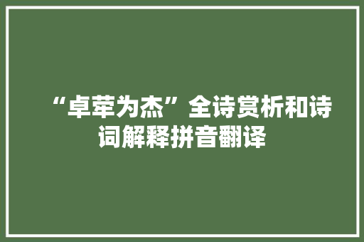 “卓荦为杰”全诗赏析和诗词解释拼音翻译