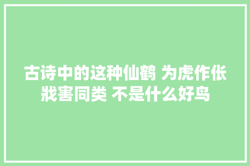 古诗中的这种仙鹤 为虎作伥戕害同类 不是什么好鸟