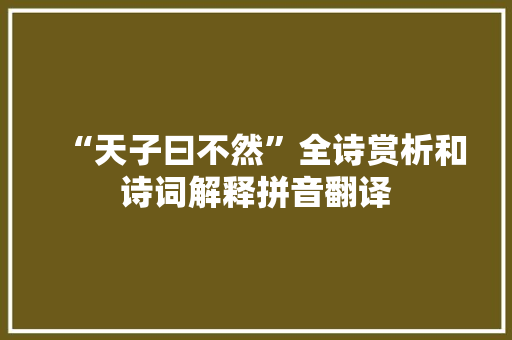 “天子曰不然”全诗赏析和诗词解释拼音翻译