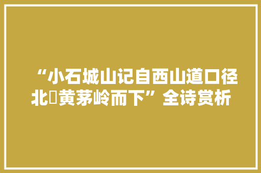 “小石城山记自西山道口径北踰黄茅岭而下”全诗赏析和诗词解释拼音翻译
