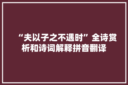 “夫以子之不遇时”全诗赏析和诗词解释拼音翻译