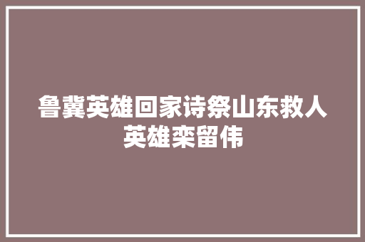 鲁冀英雄回家诗祭山东救人英雄栾留伟