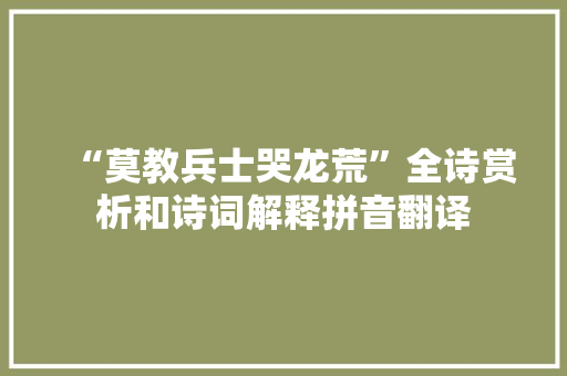 “莫教兵士哭龙荒”全诗赏析和诗词解释拼音翻译