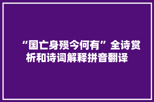 “国亡身殒今何有”全诗赏析和诗词解释拼音翻译