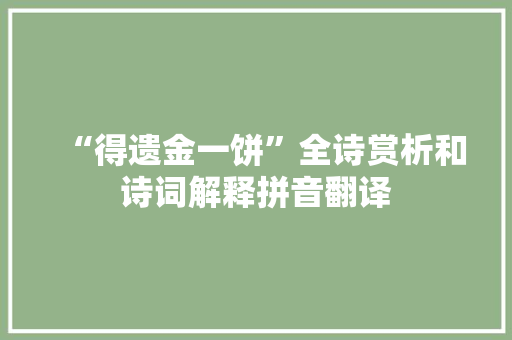 “得遗金一饼”全诗赏析和诗词解释拼音翻译