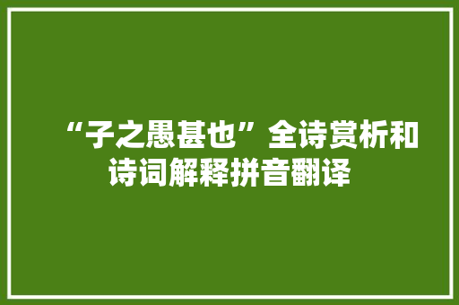 “子之愚甚也”全诗赏析和诗词解释拼音翻译