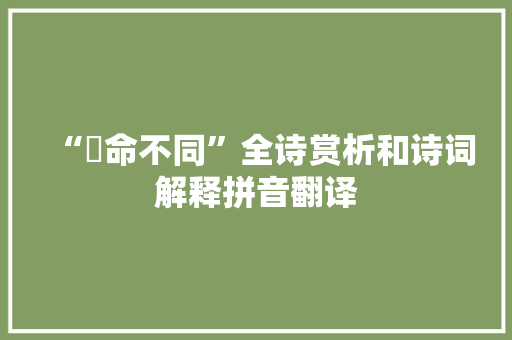 “寔命不同”全诗赏析和诗词解释拼音翻译