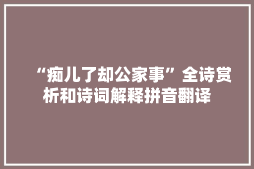 “痴儿了却公家事”全诗赏析和诗词解释拼音翻译