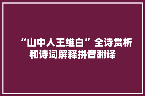 “山中人王维白”全诗赏析和诗词解释拼音翻译