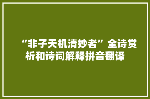 “非子天机清妙者”全诗赏析和诗词解释拼音翻译