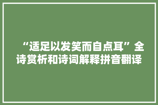 “适足以发笑而自点耳”全诗赏析和诗词解释拼音翻译