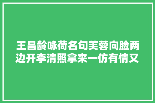 王昌龄咏荷名句芙蓉向脸两边开李清照拿来一仿有情又圆滑