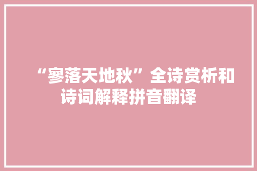 “寥落天地秋”全诗赏析和诗词解释拼音翻译