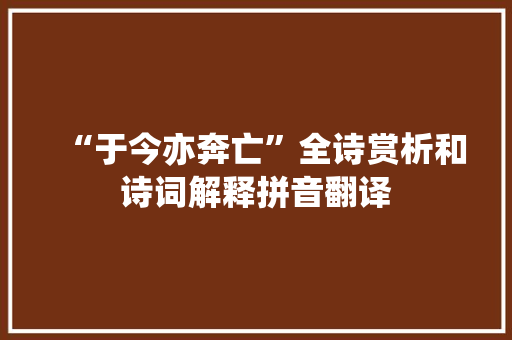 “于今亦奔亡”全诗赏析和诗词解释拼音翻译