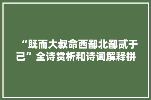 “既而大叔命西鄙北鄙贰于己”全诗赏析和诗词解释拼音翻译