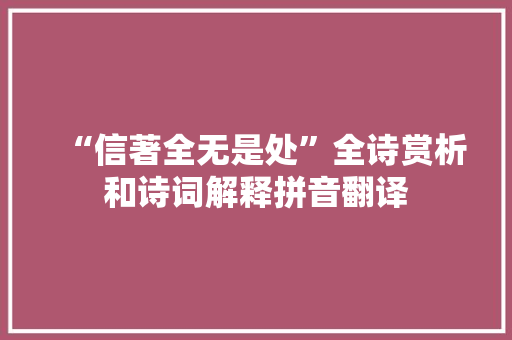 “信著全无是处”全诗赏析和诗词解释拼音翻译