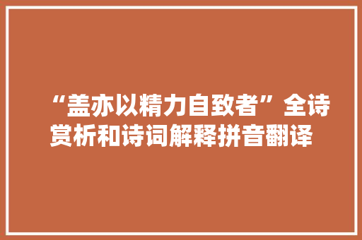 “盖亦以精力自致者”全诗赏析和诗词解释拼音翻译