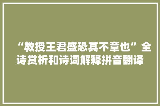 “教授王君盛恐其不章也”全诗赏析和诗词解释拼音翻译
