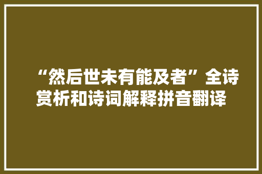 “然后世未有能及者”全诗赏析和诗词解释拼音翻译