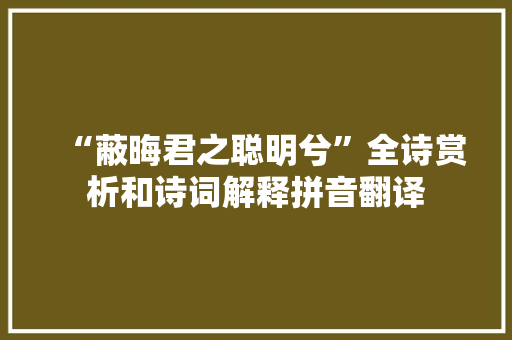 “蔽晦君之聪明兮”全诗赏析和诗词解释拼音翻译