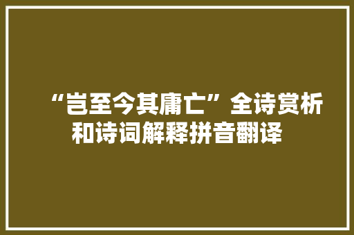“岂至今其庸亡”全诗赏析和诗词解释拼音翻译