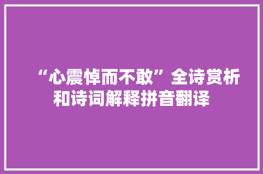 “心震悼而不敢”全诗赏析和诗词解释拼音翻译