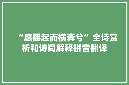 “愿摇起而横奔兮”全诗赏析和诗词解释拼音翻译
